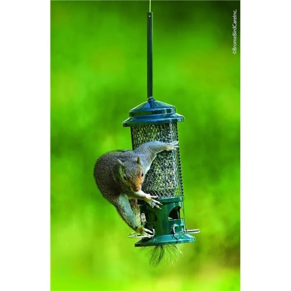 Squirrel Buster Standard Squirrel-proof Bird Feeder w/4 Metal Perches, 1.3-pound